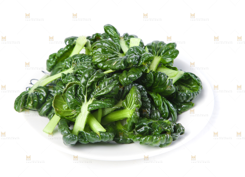白底上的菊花菜