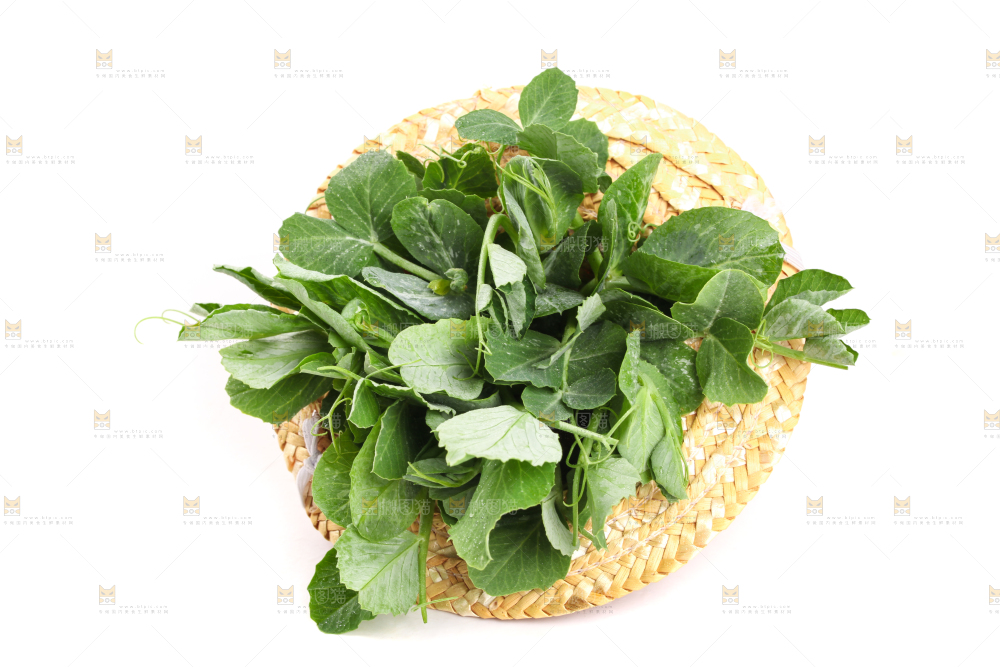 白底上摆放着新鲜豌豆苗