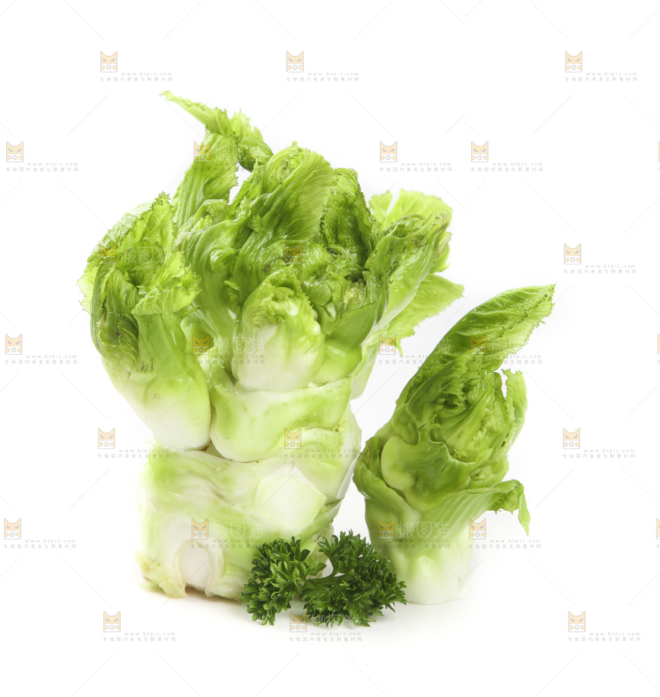 儿菜