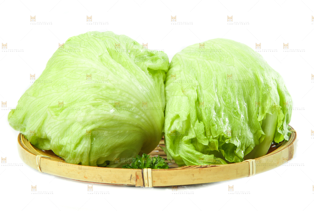 白底上的新鲜生菜