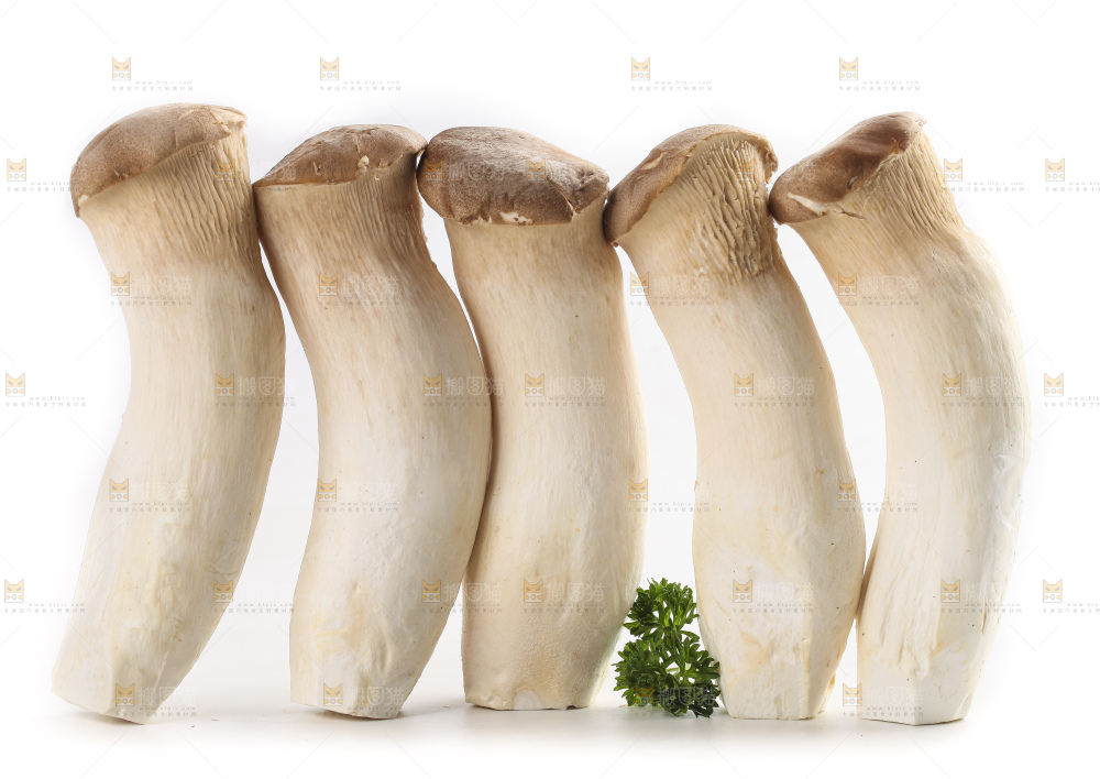 白底上放着大鸡腿菇