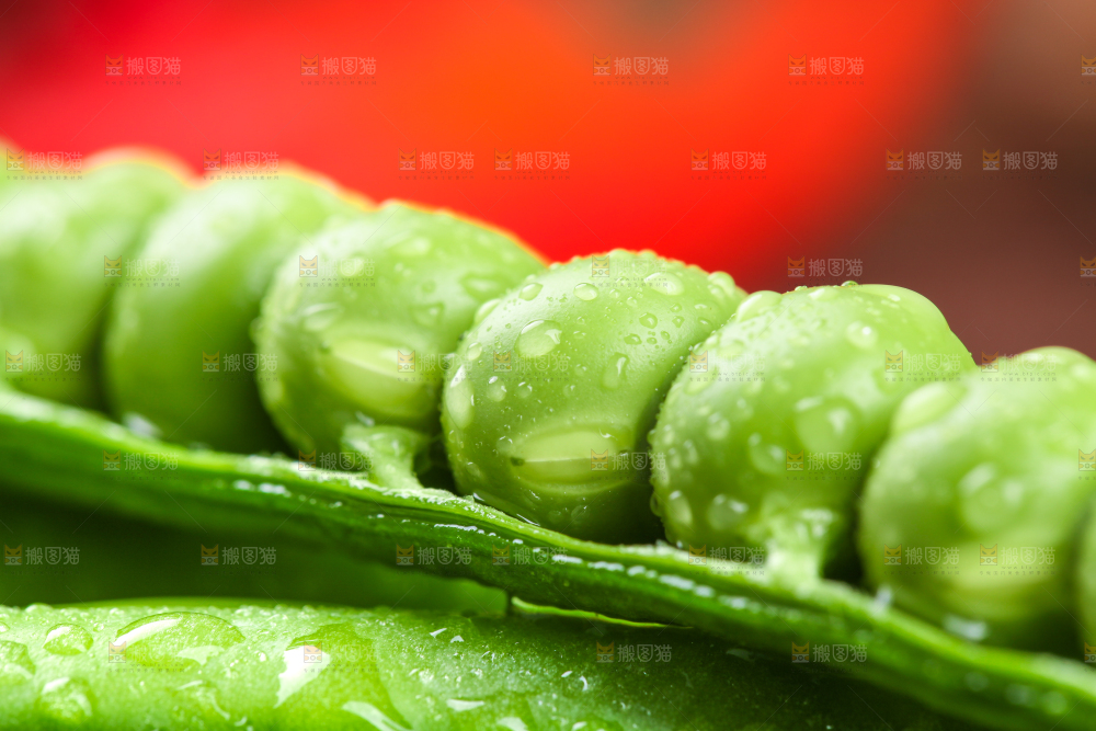 浅底上的新鲜豌豆粒