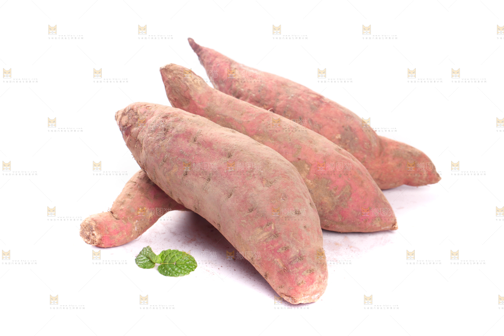 白底上蜜署