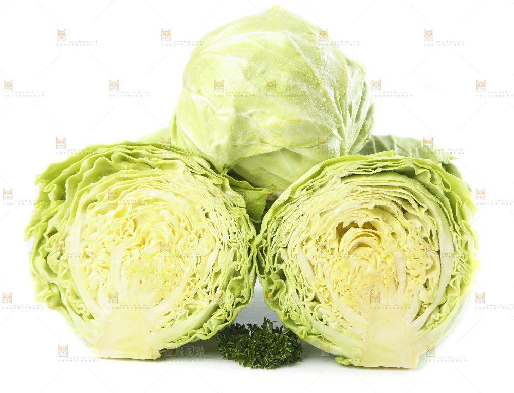 白底上的甘蓝包菜