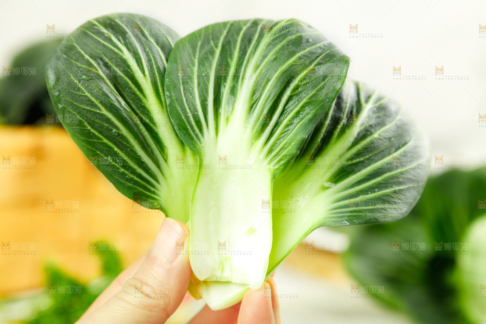 手里拿着新鲜青菜