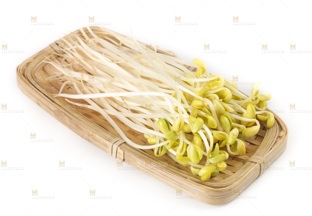 白底上的豆芽