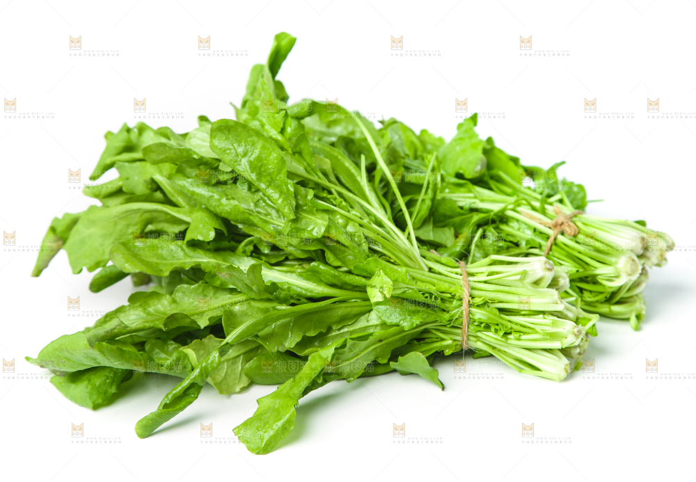 白底上的地菜