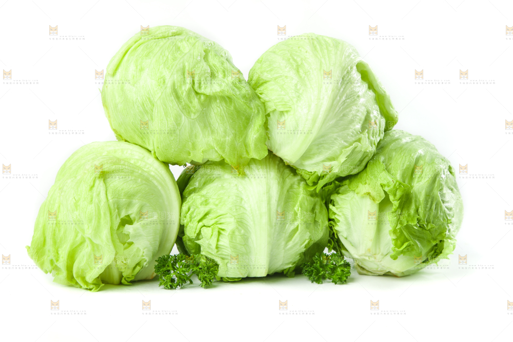 白底上的新鲜生菜