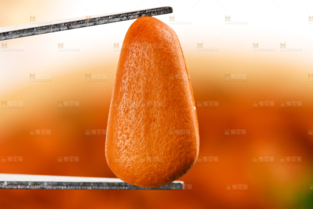筷子上夹着松子
