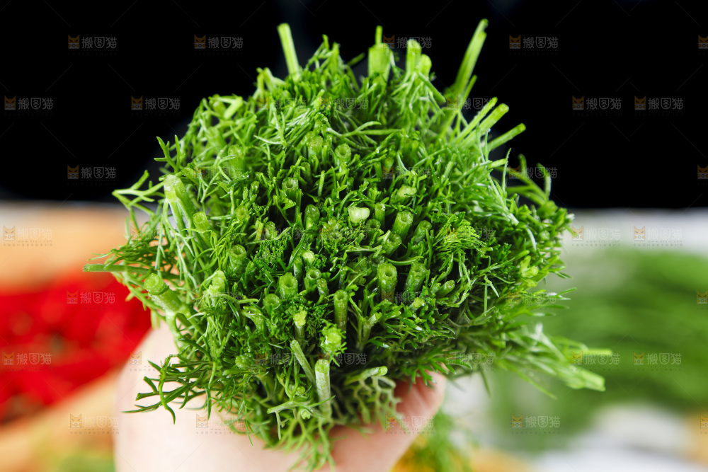 盘子里的云南小茴香菜