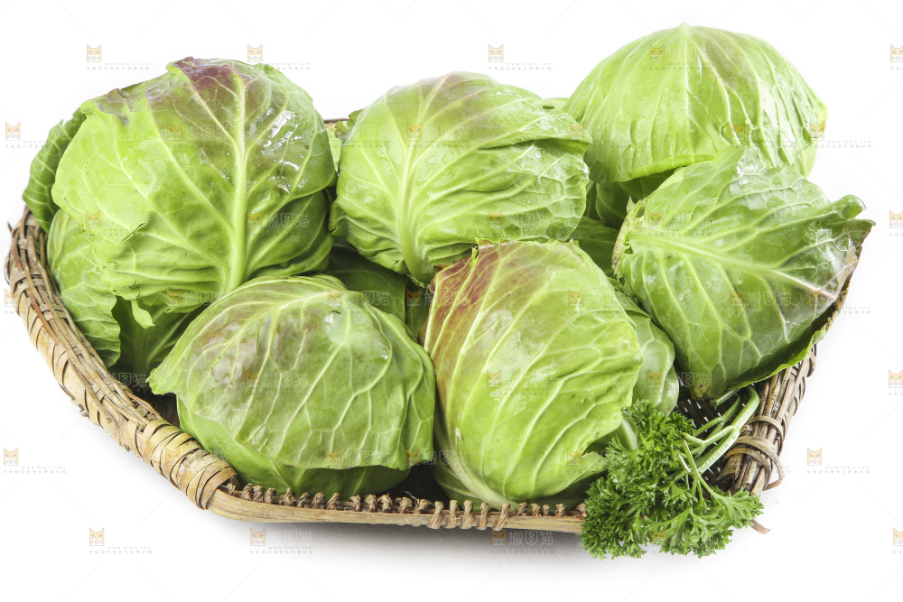 篮子里装着洋白菜