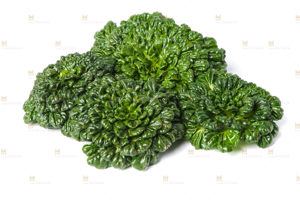 白底上的菊花菜