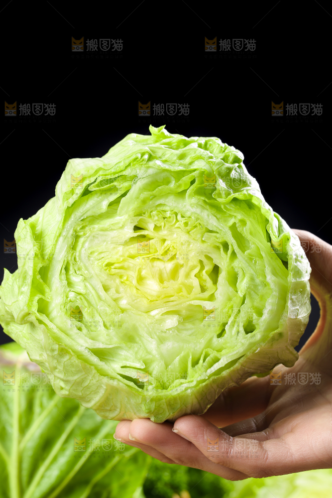 深底上的圆形生菜