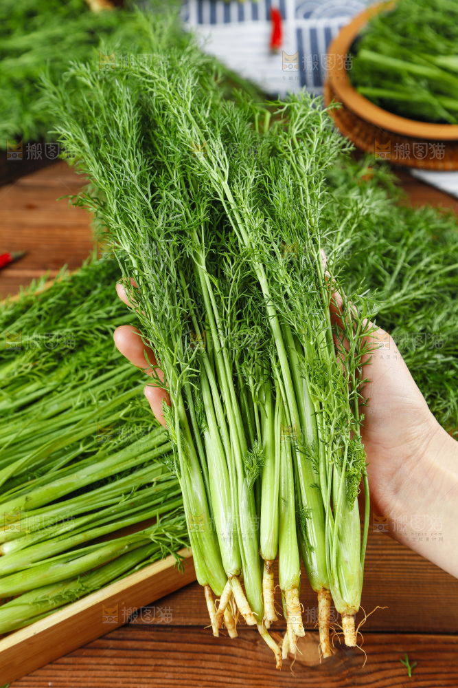手里拿着小茴香