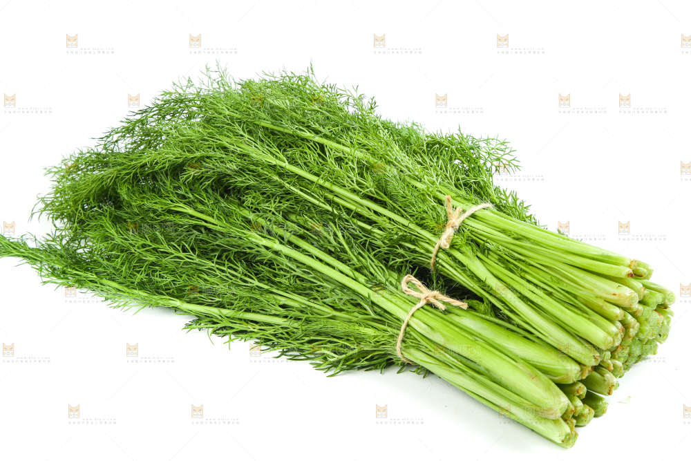 白底上放着小茴香