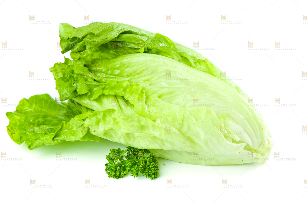白底上的生菜