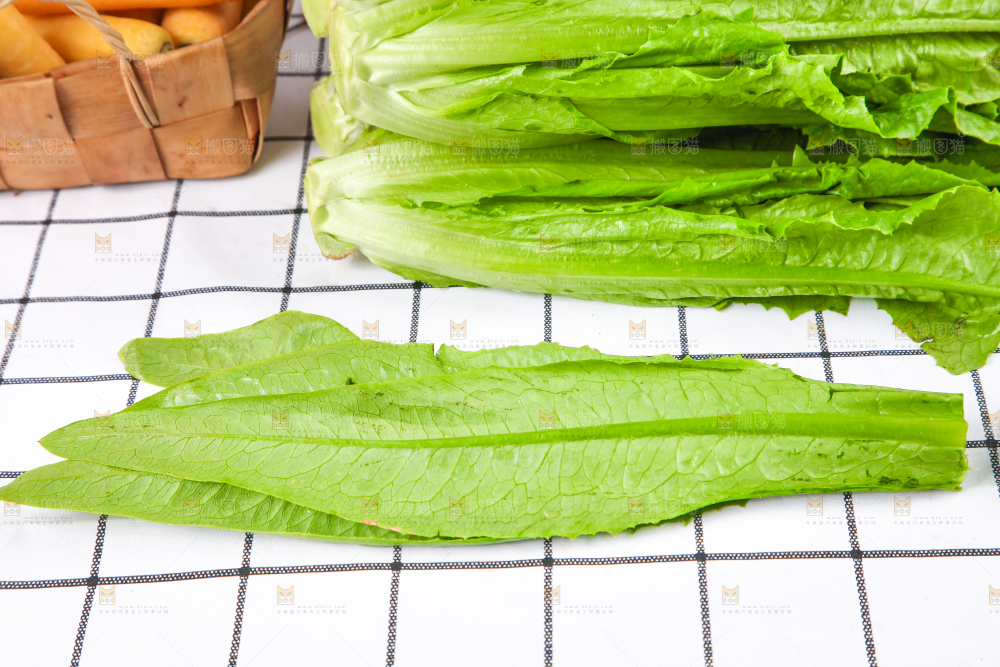 白格子底上放着新鲜油麦菜