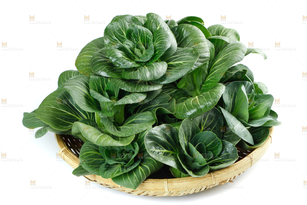 白底上的绿叶菜