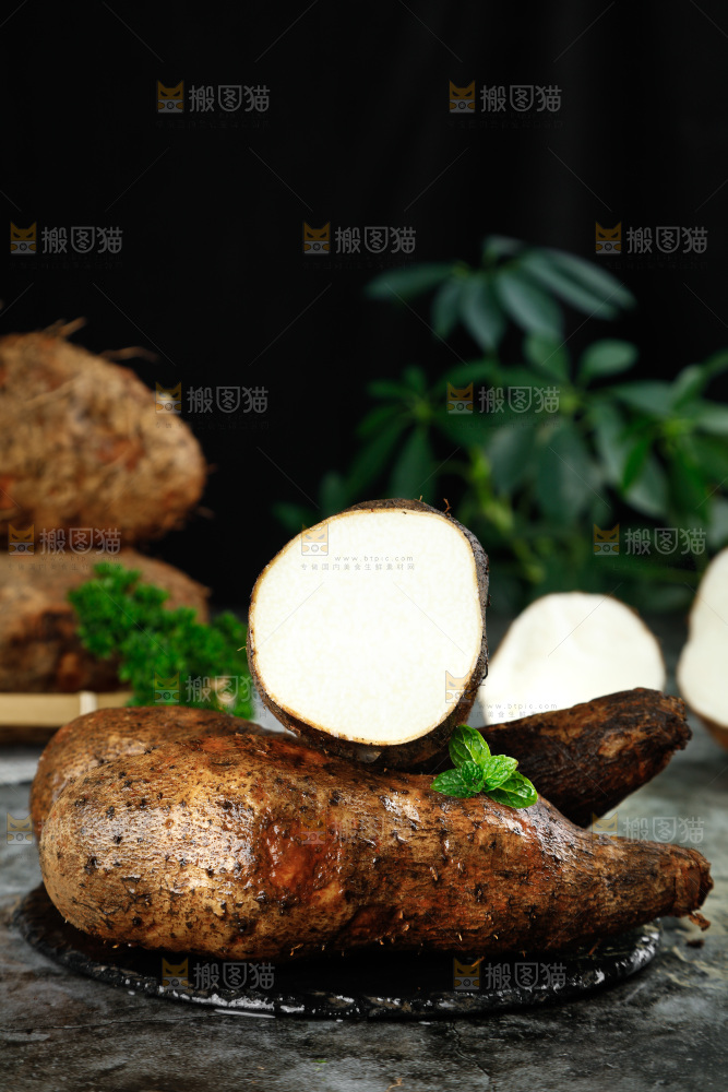 黑底上的金秤砣山药