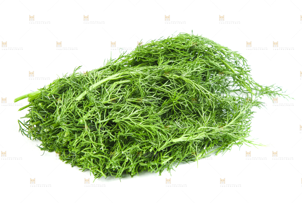 白底上放着小茴香