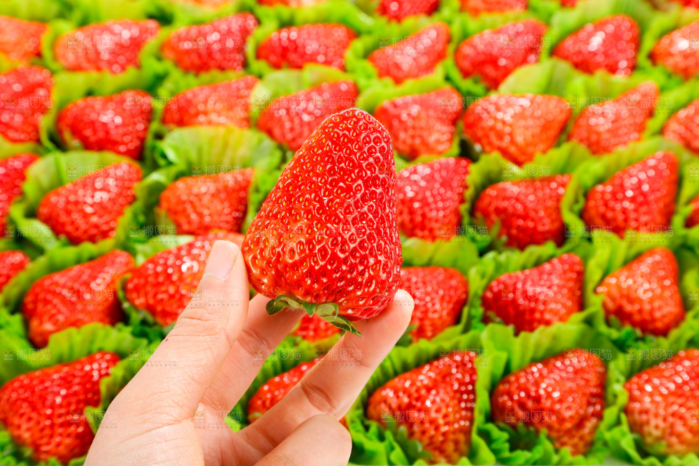 箱子里装着牛奶草莓
