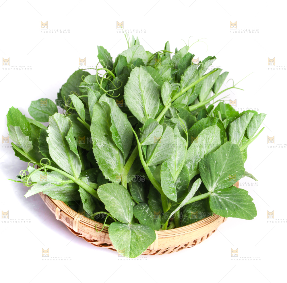 白底上摆放着新鲜豌豆苗