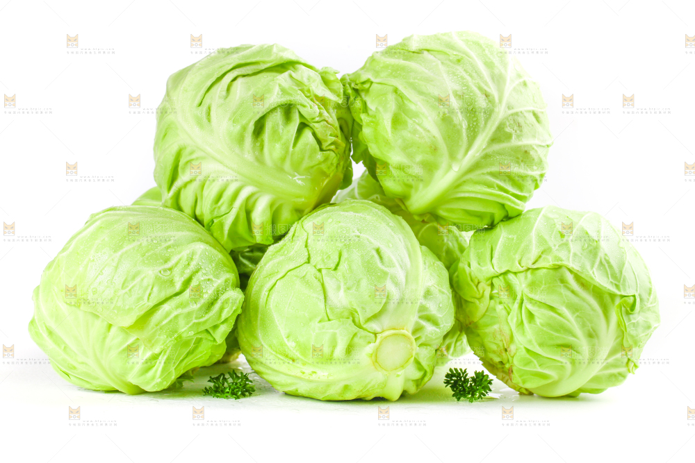 白底上摆放着包菜
