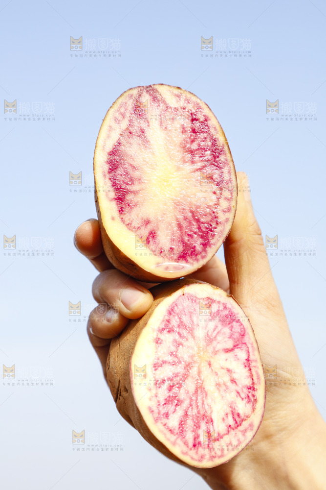 手里拿着彩色土豆
