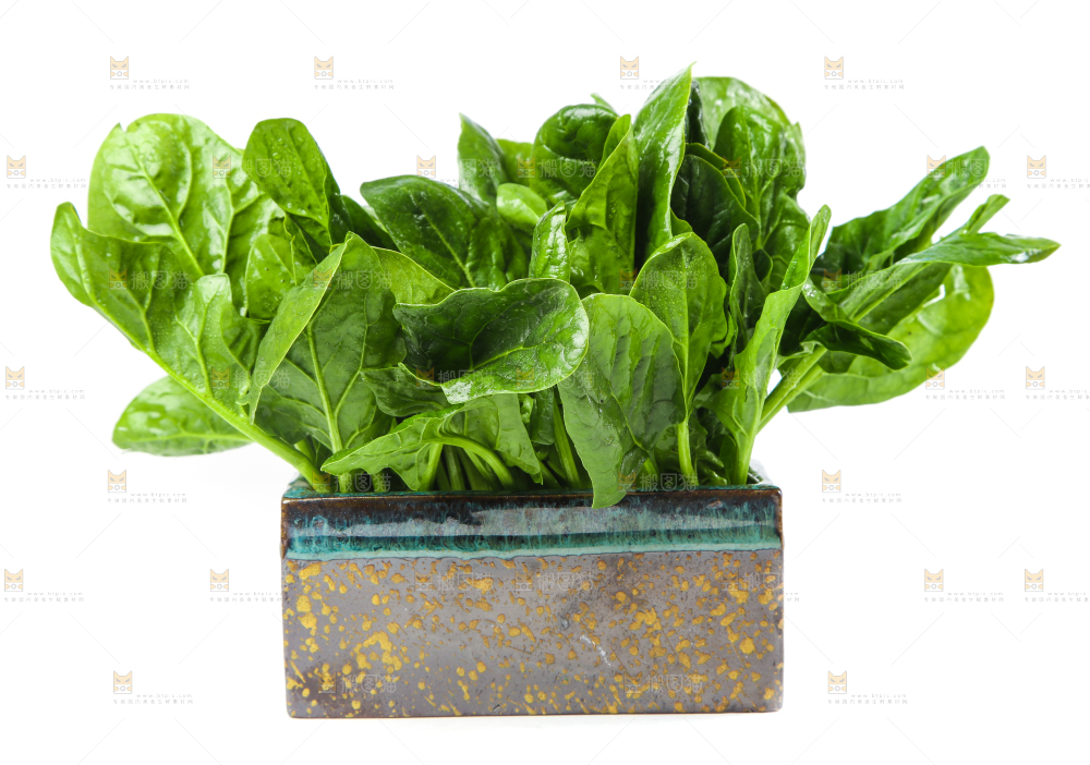 白底上放着菠菜