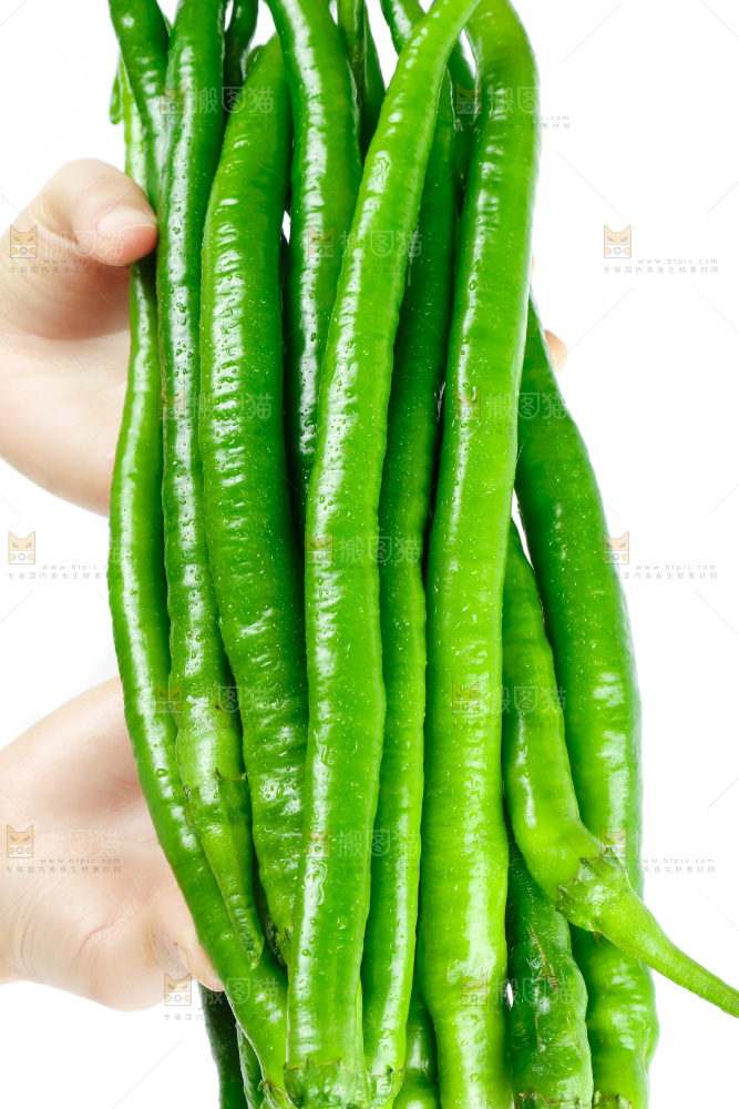 手里拿着二荆条辣椒