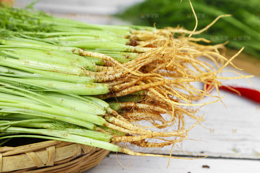 木底上的小茴香菜