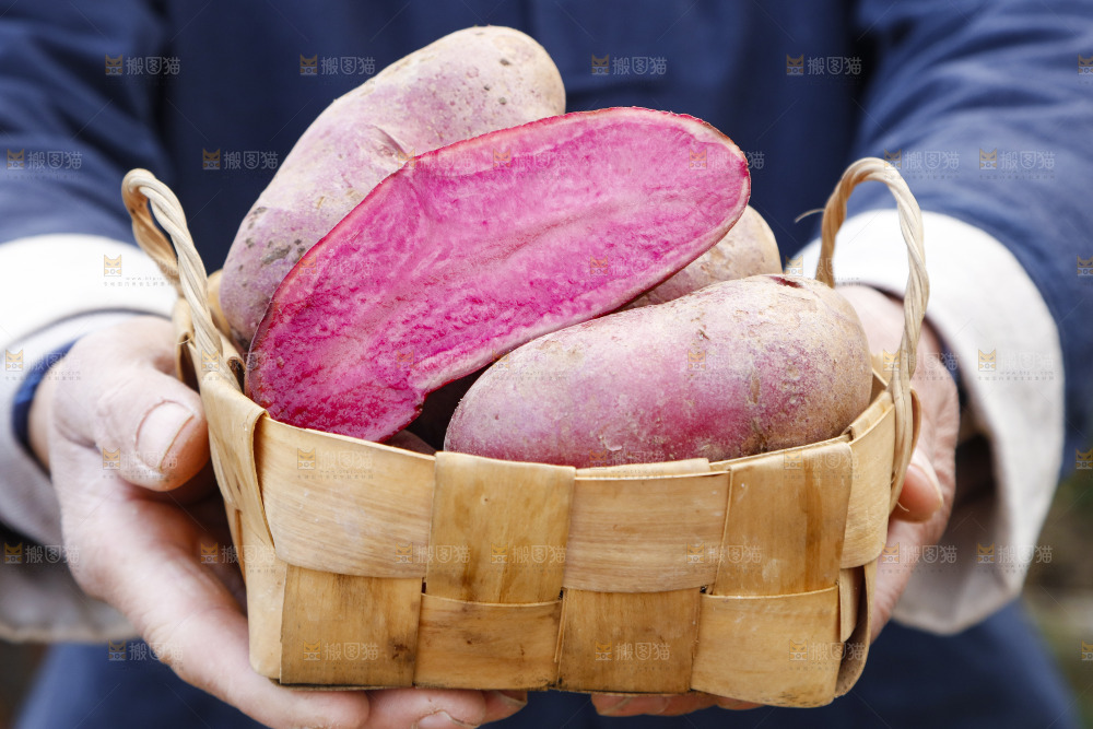手里拿着新鲜红土豆