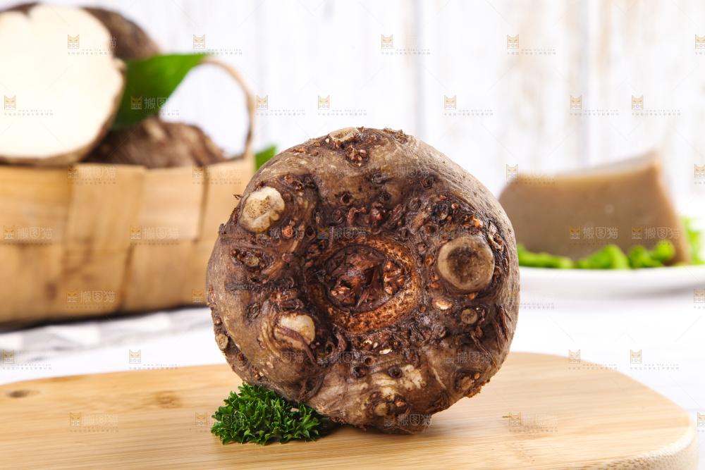 木底上的贵州生魔芋