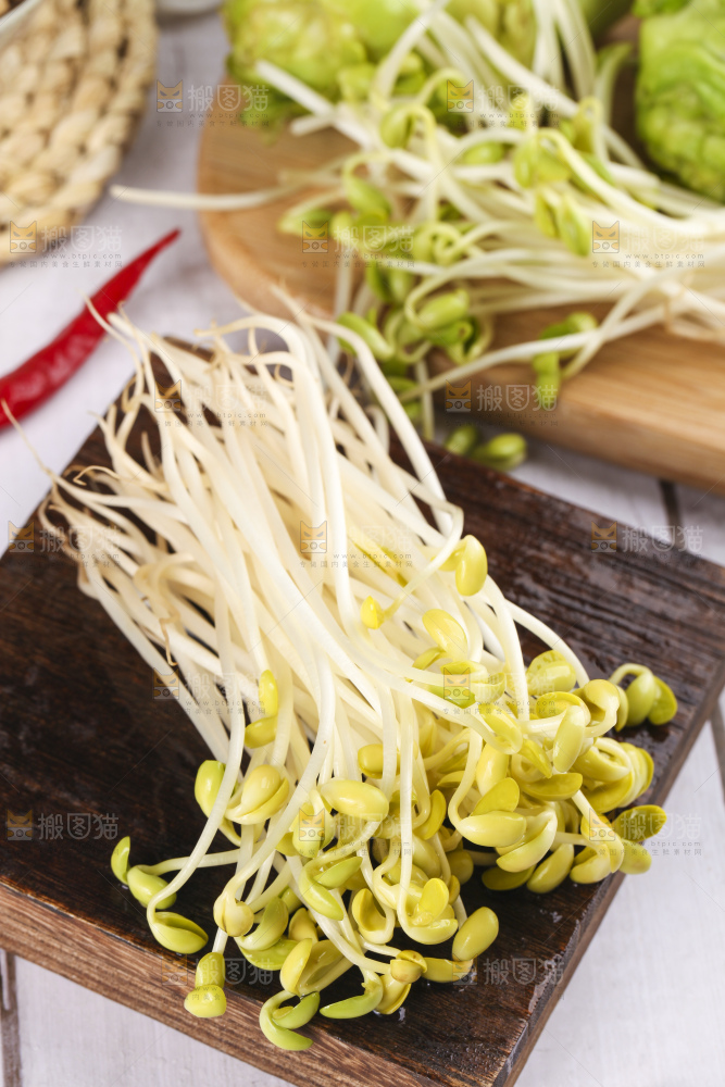 盘子里的豆芽