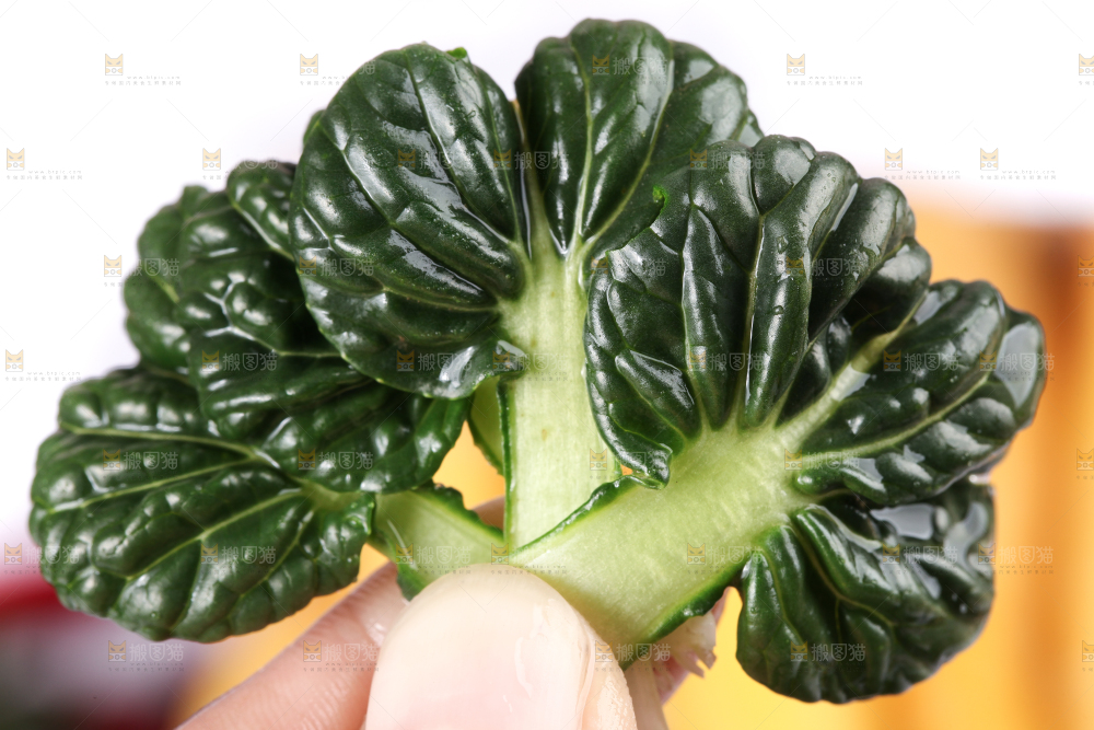 浅底上放着菊花菜