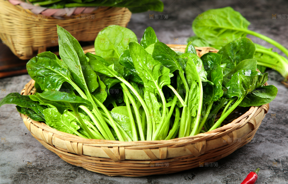 篮子里的红根菠菜