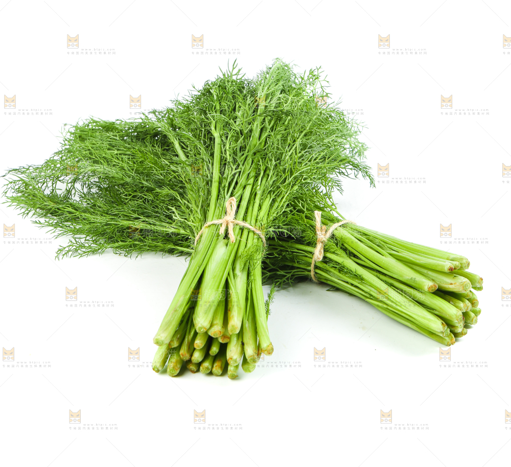白底上放着小茴香