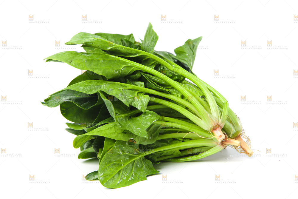白底上放着菠菜