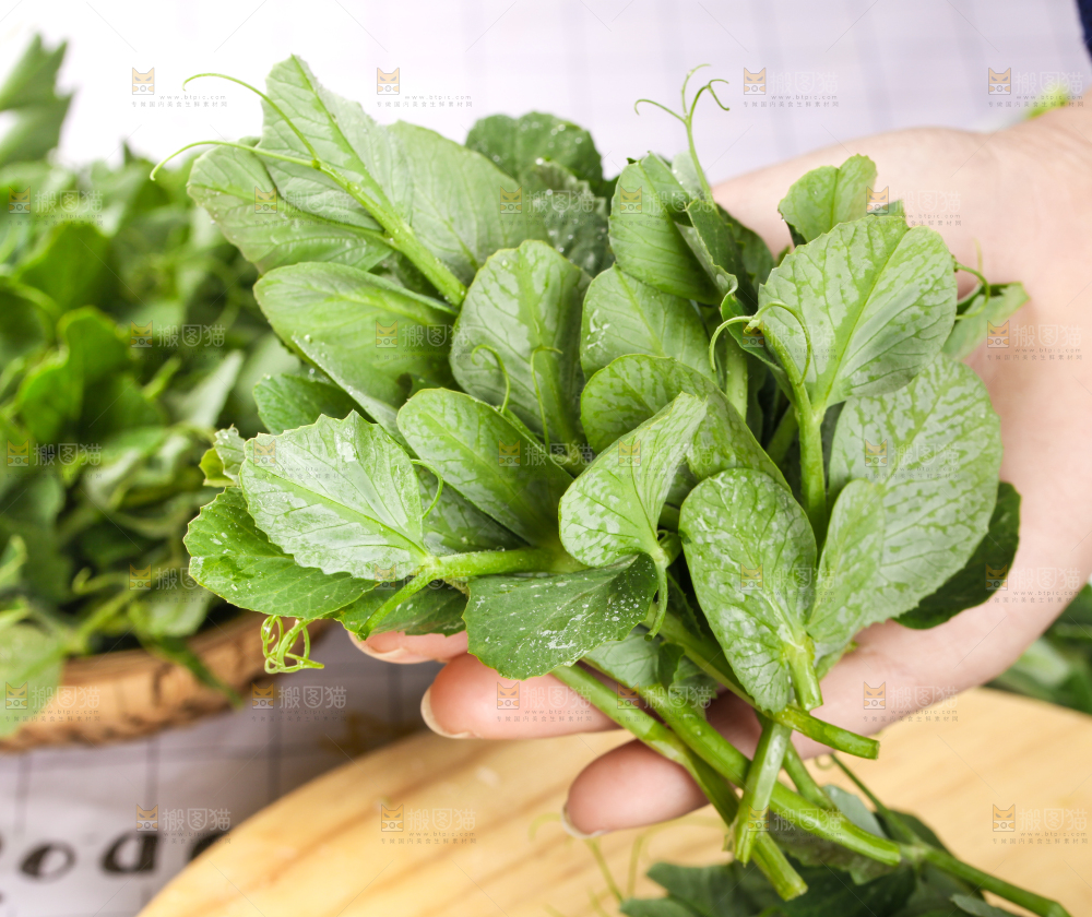 手里拿着豌豆苗