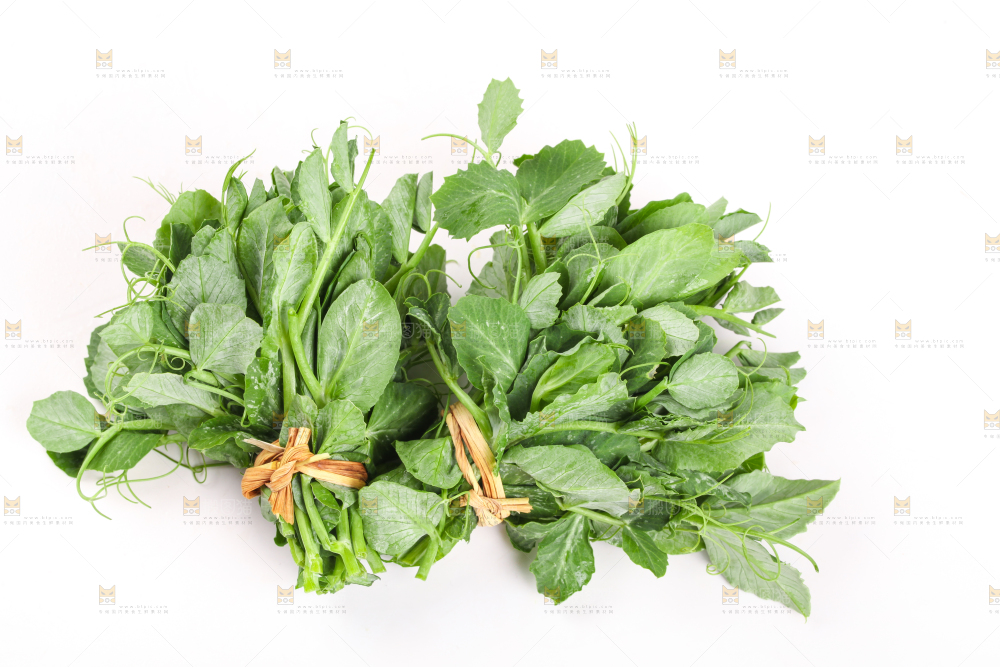 白底上摆放着新鲜豌豆苗