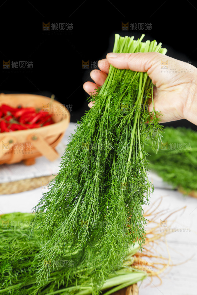 手里拿着小茴香