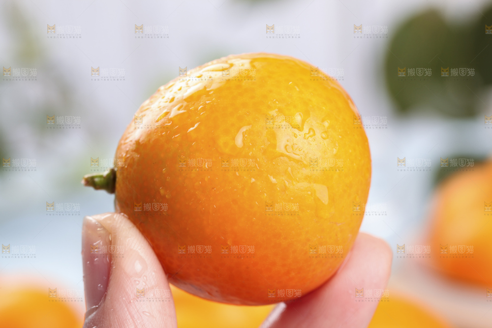 手里拿着脆皮金桔