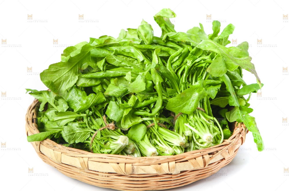 篮子里装着芥菜