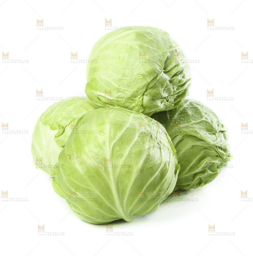 白底上摆放着包菜