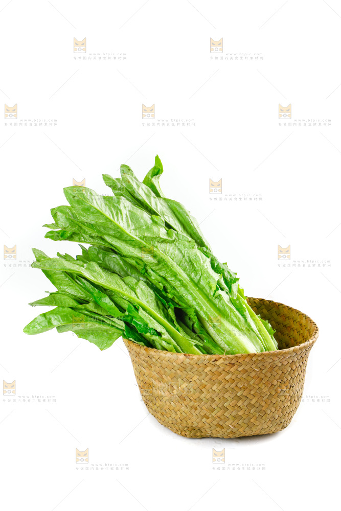 白底上放着油麦菜