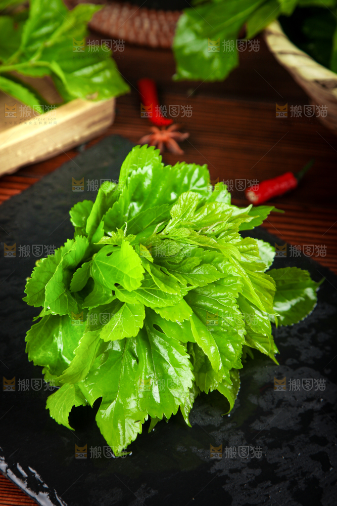 黑石板上放着桑树叶