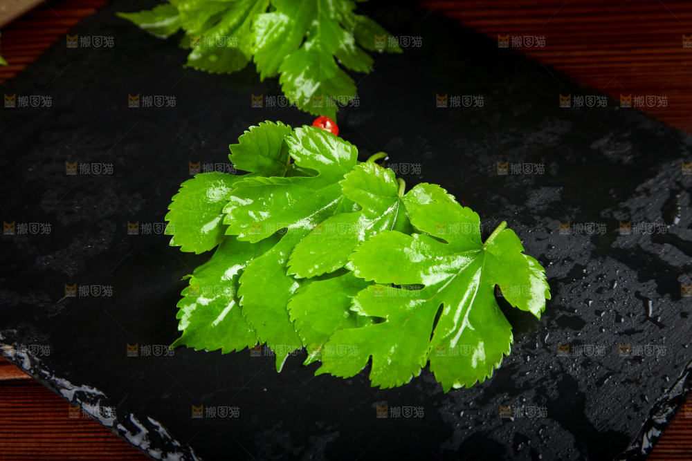 黑石板上放着桑树叶