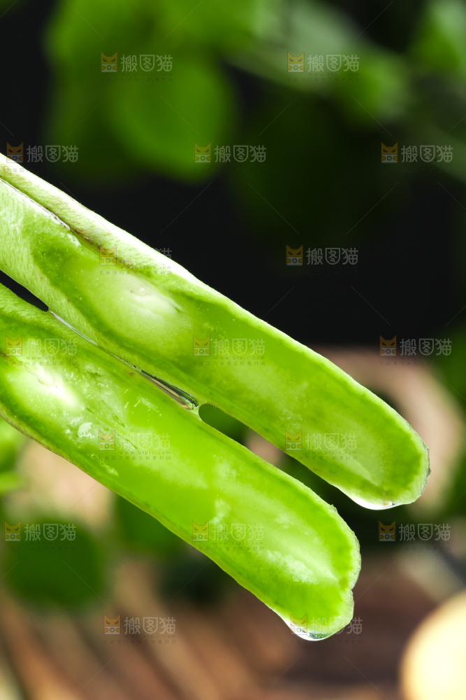 深底上的四季豆