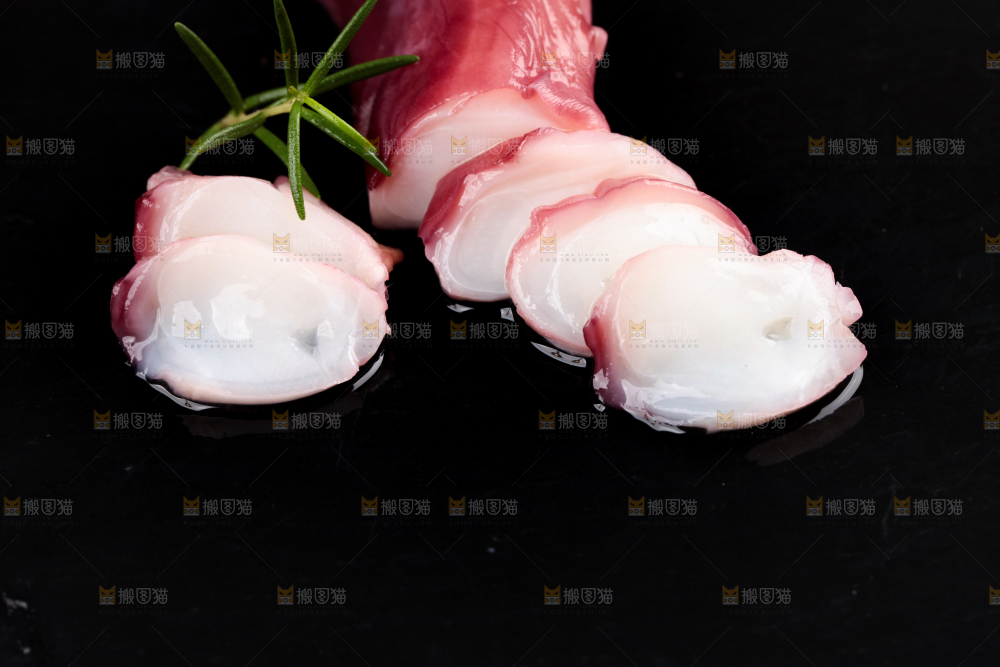 黑石板上的大鱿鱼