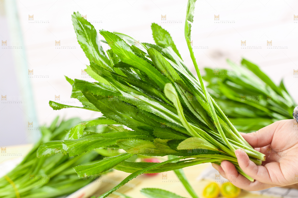 手拿云南大香菜
